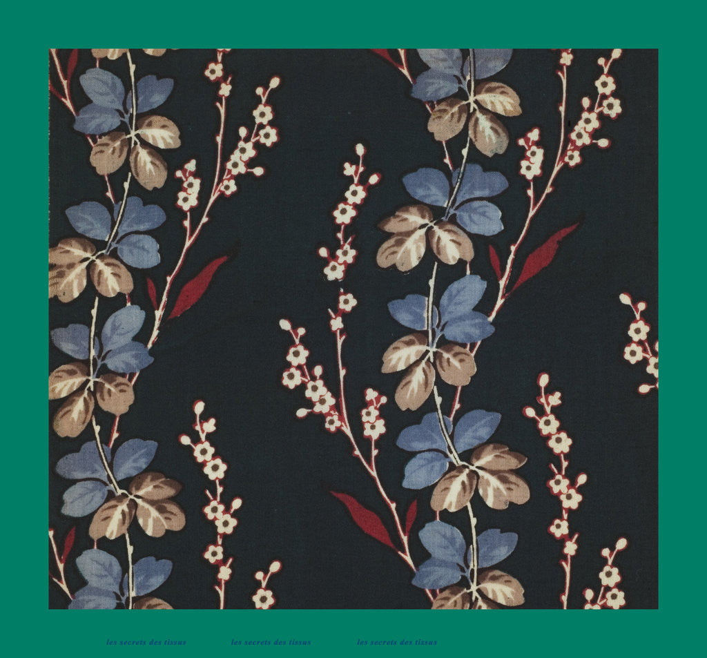 Detail of French Fabrics; First Half of the Nineteenth Century by Anonymous