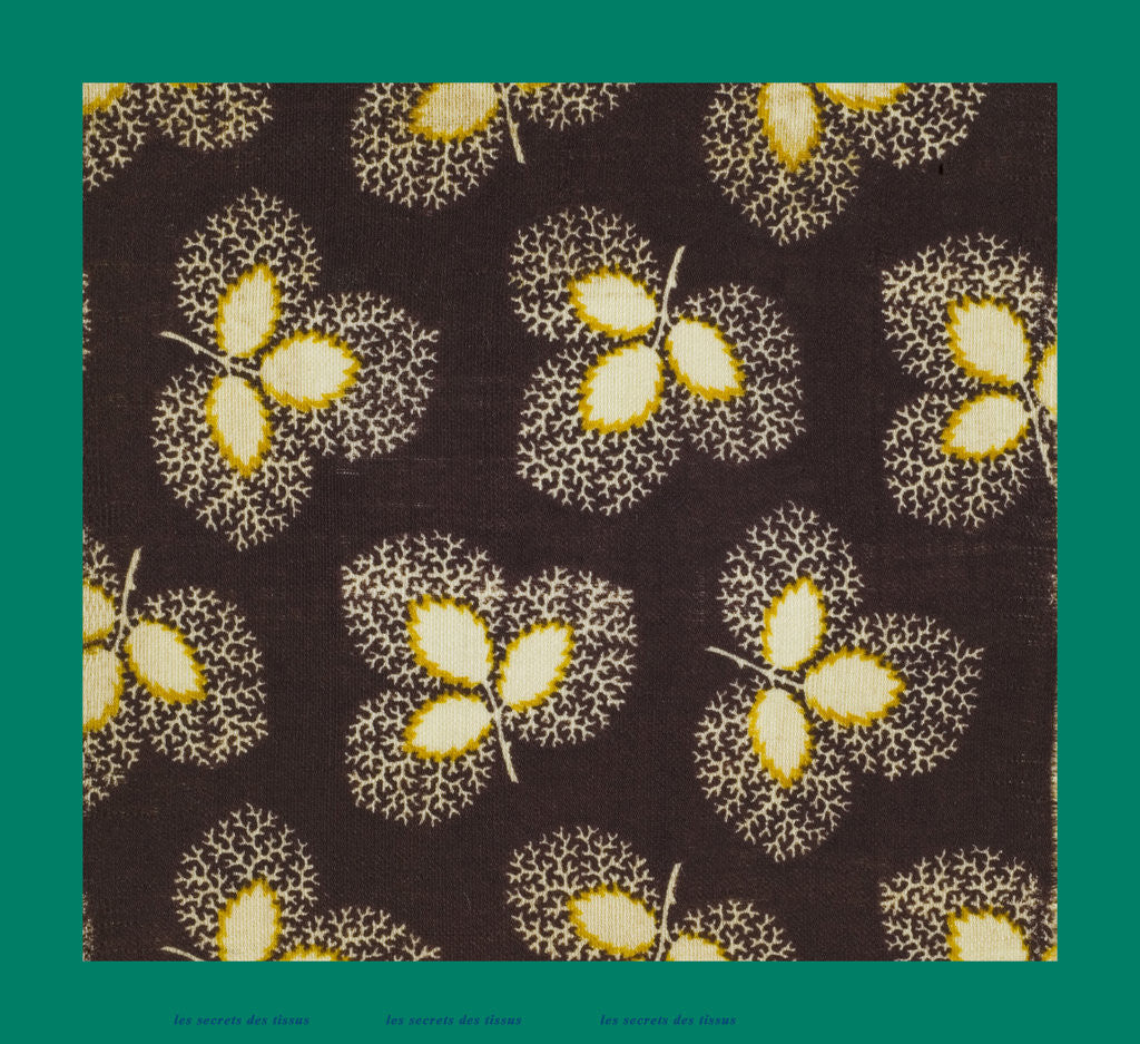 Detail of French Fabrics; First Half of the Nineteenth Century by Anonymous