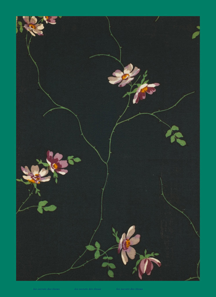 Detail of French Fabrics; First Half of the Nineteenth Century by Anonymous