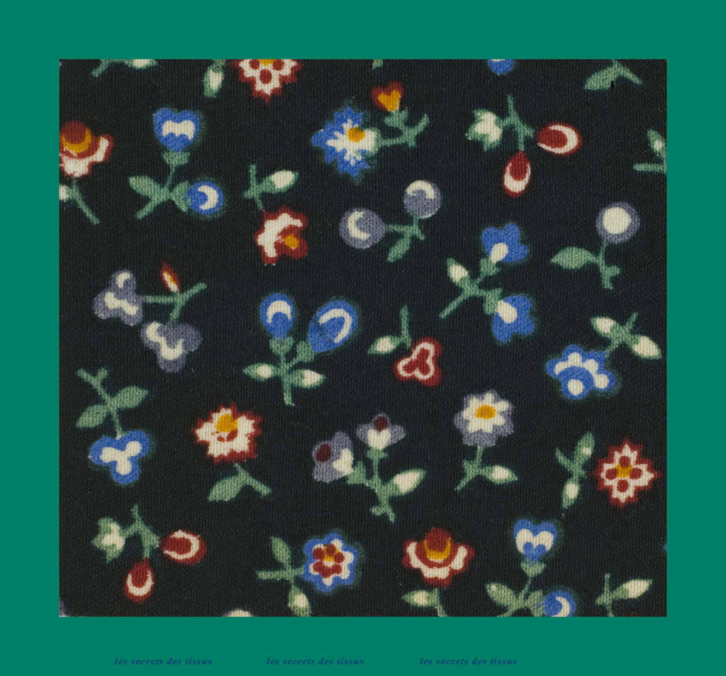 Detail of French Fabrics; First Half of the Nineteenth Century by Anonymous