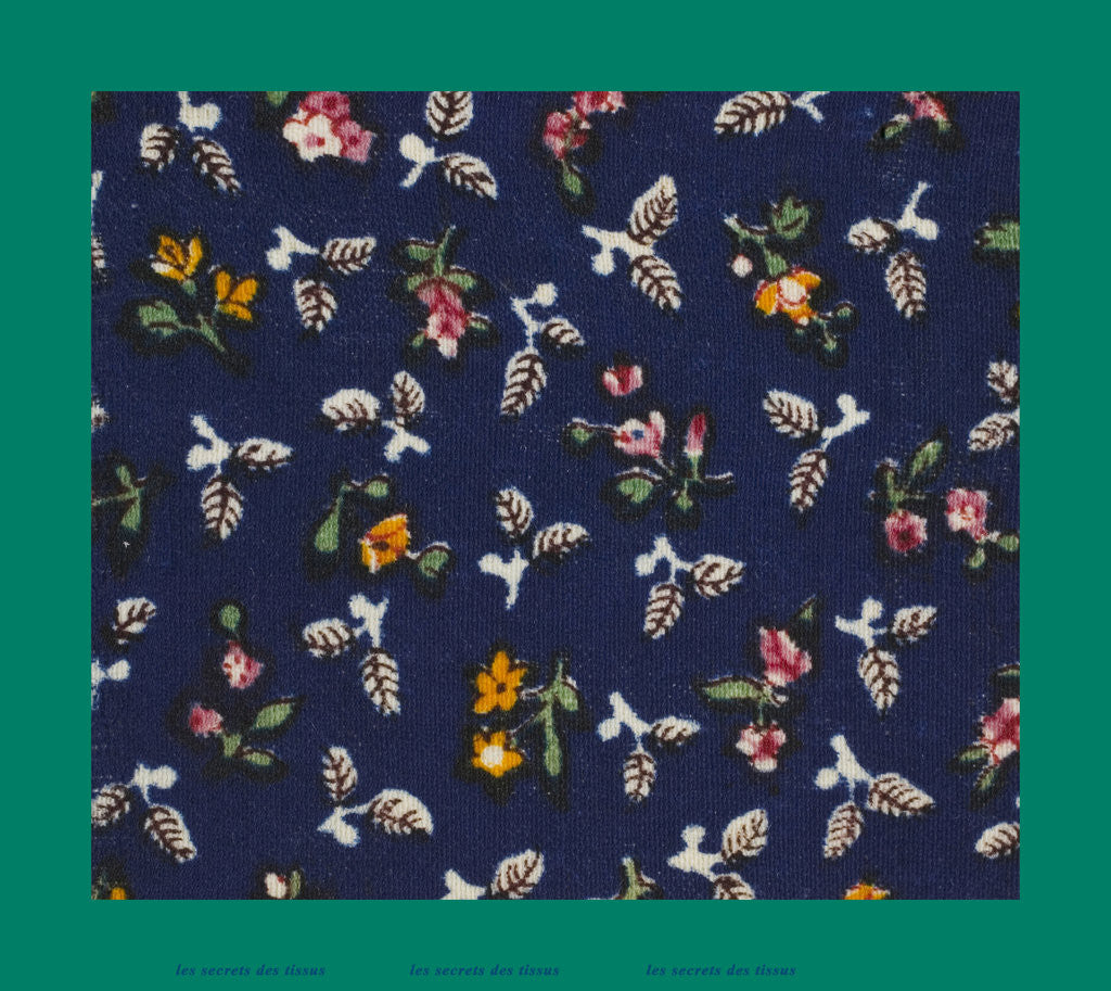 Detail of French Fabrics; First Half of the Nineteenth Century by Anonymous