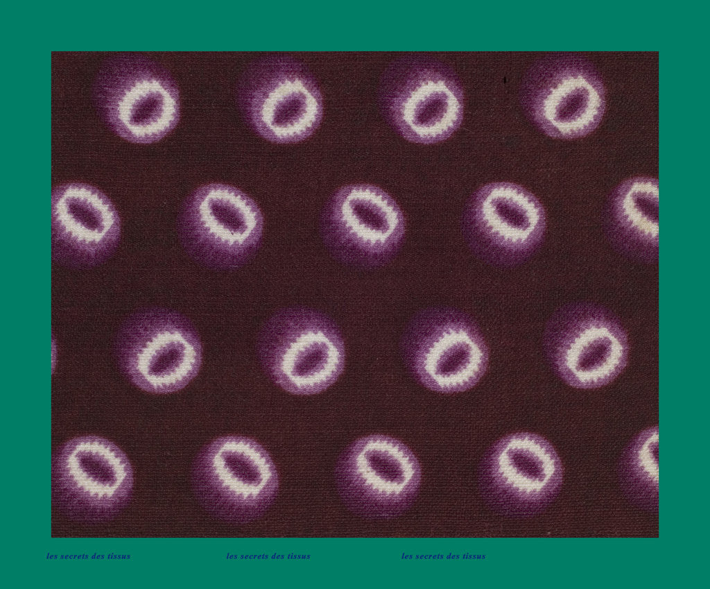 Detail of French Fabrics; First Half of the Nineteenth Century by Anonymous