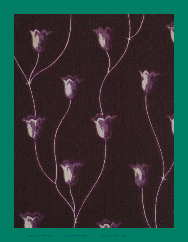 Detail of French Fabrics; First Half of the Nineteenth Century by Anonymous