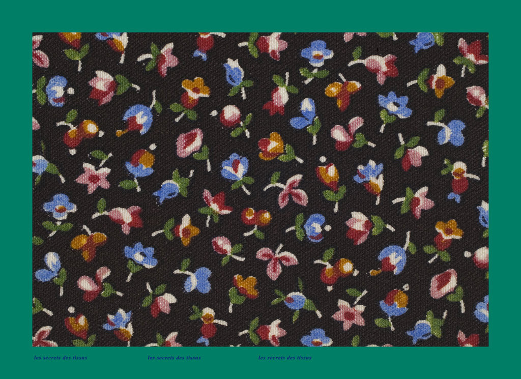 Detail of French Fabrics; First Half of the Nineteenth Century by Anonymous