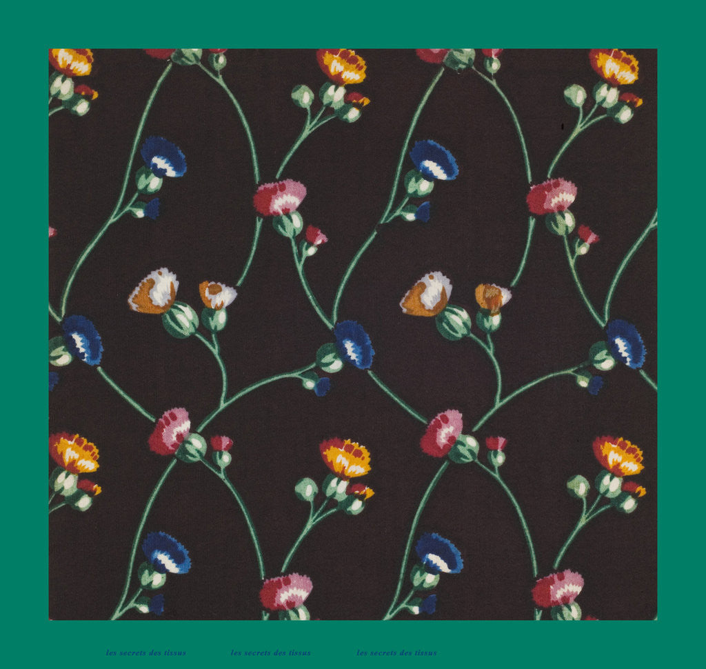 Detail of French Fabrics; First Half of the Nineteenth Century by Anonymous