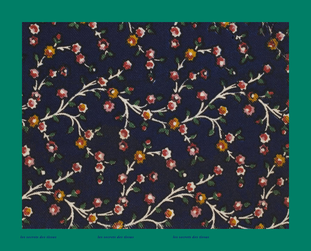 Detail of French Fabrics; First Half of the Nineteenth Century by Anonymous
