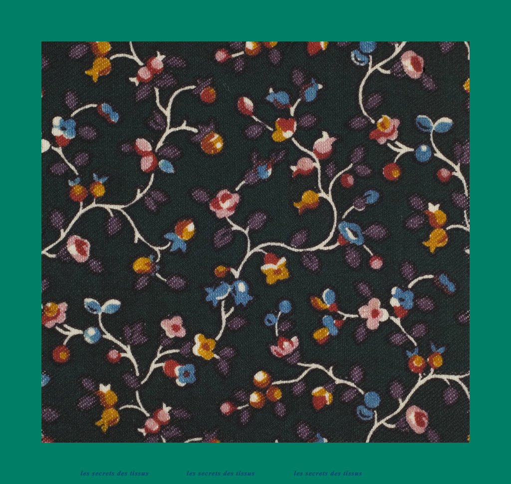 Detail of French Fabrics; First Half of the Nineteenth Century by Anonymous