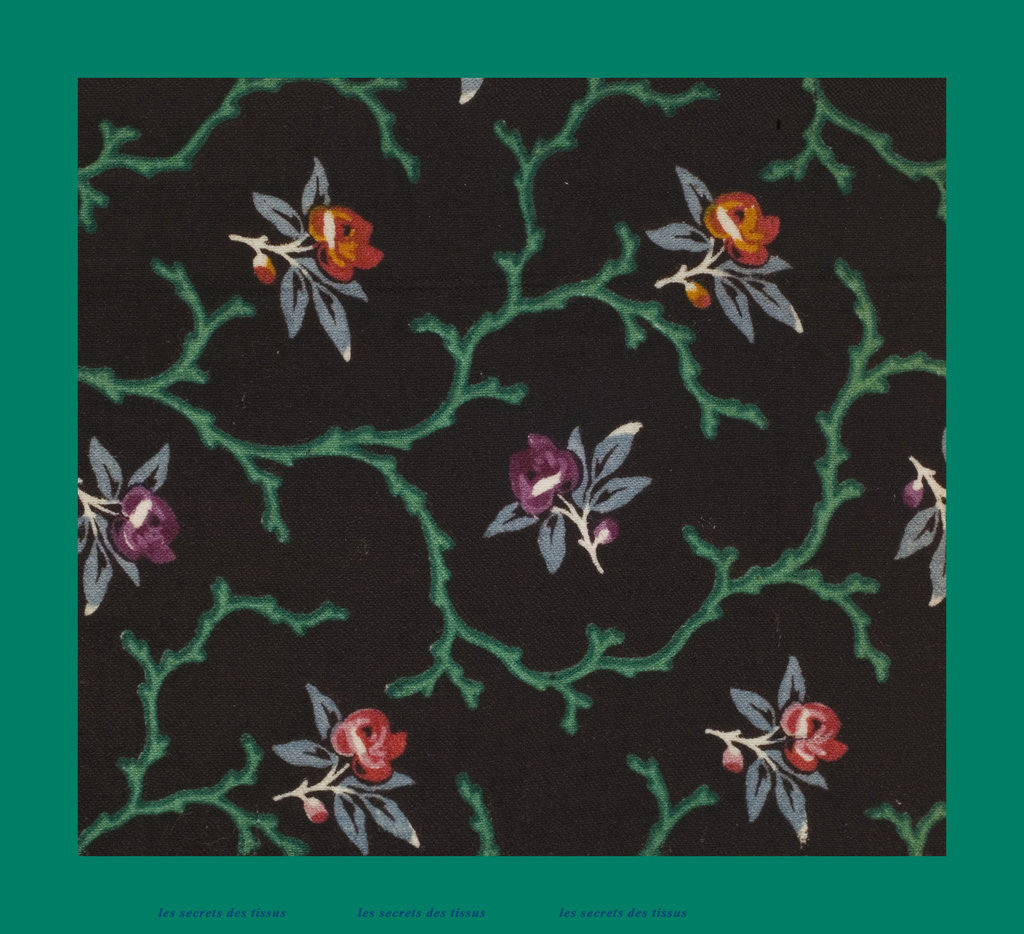 Detail of French Fabrics; First Half of the Nineteenth Century by Anonymous