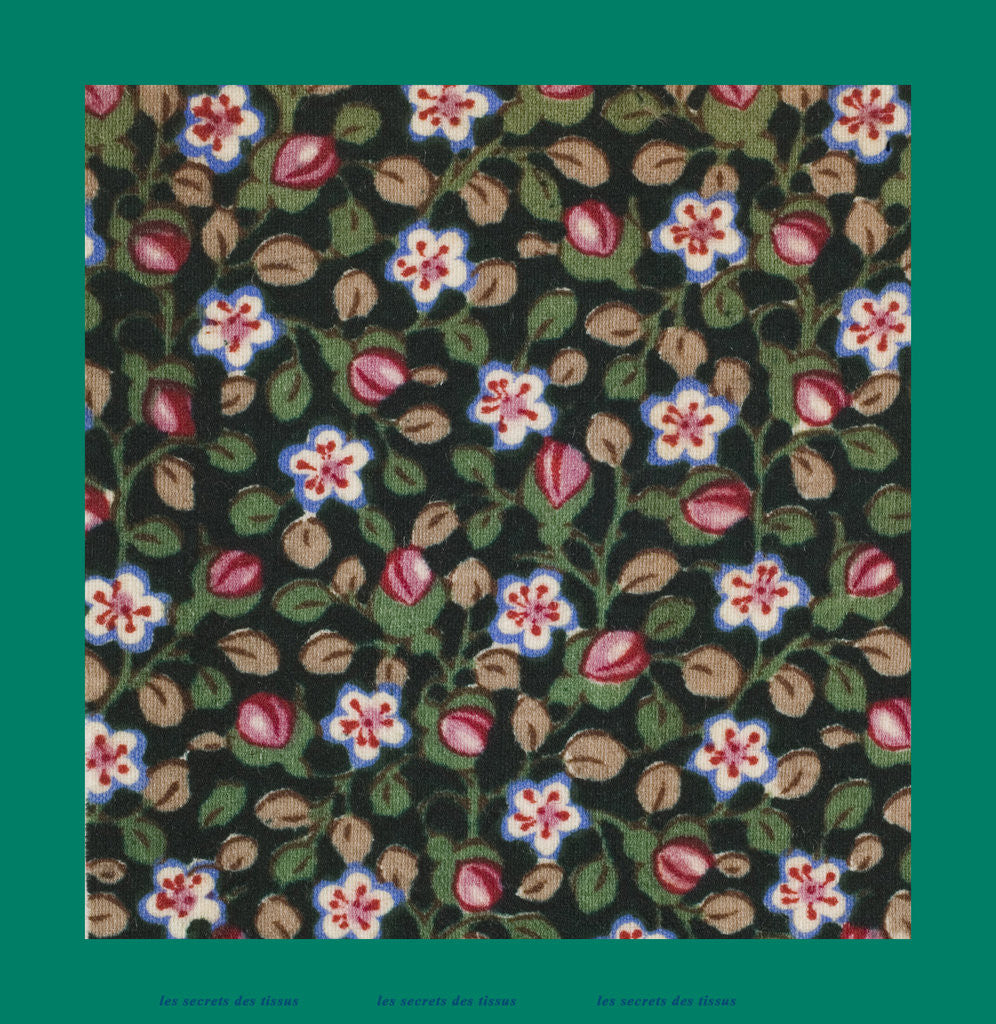 Detail of French Fabrics; First Half of the Nineteenth Century by Anonymous