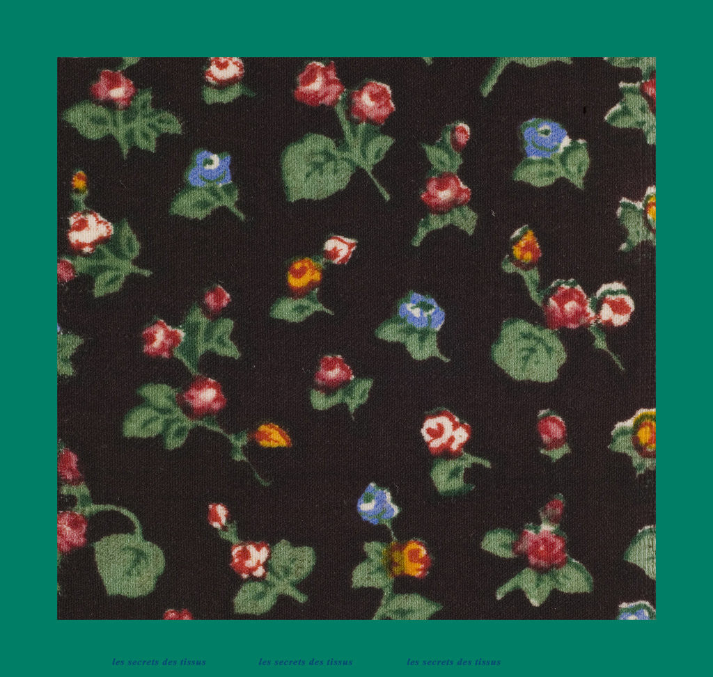 Detail of French Fabrics; First Half of the Nineteenth Century by Anonymous