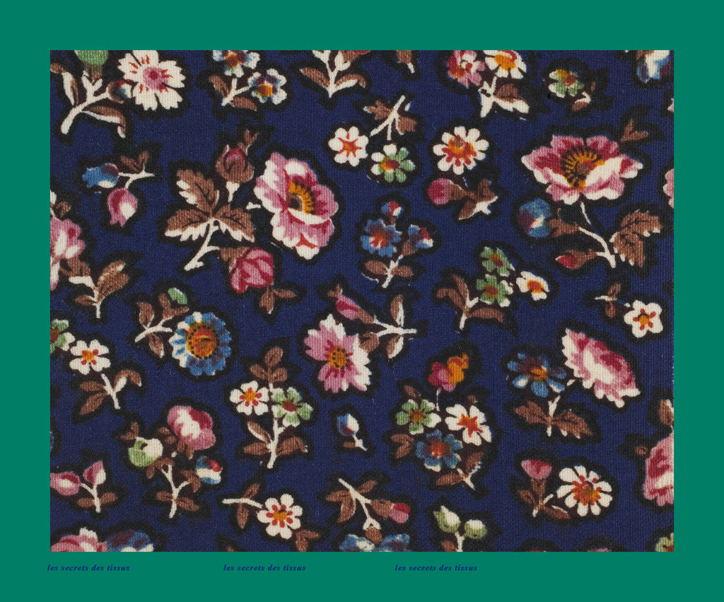 Detail of French Fabrics; First Half of the Nineteenth Century by Anonymous