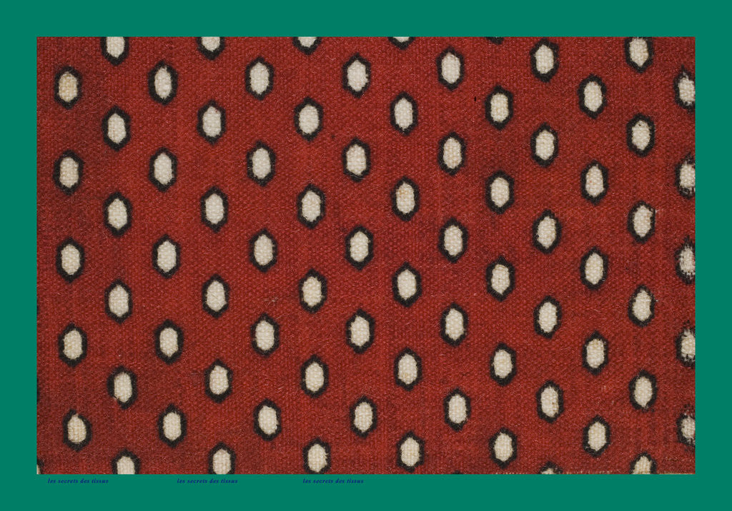 Detail of French Fabrics; First Half of the Nineteenth Century by Anonymous