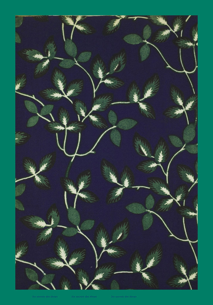 Detail of French Fabrics; First Half of the Nineteenth Century by Anonymous