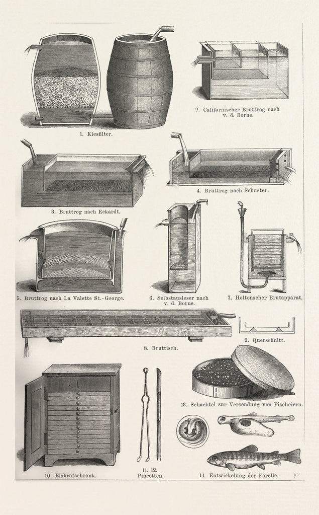 Detail of Fish Production by Anonymous