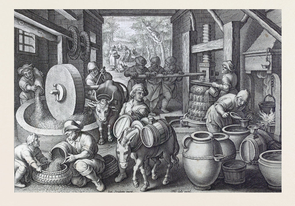 Detail of Oleum Olivarum by Anonymous