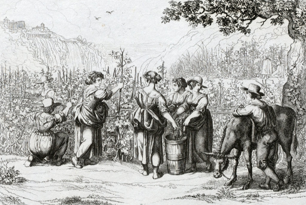 Detail of The Harvest in Tivoli by Anonymous