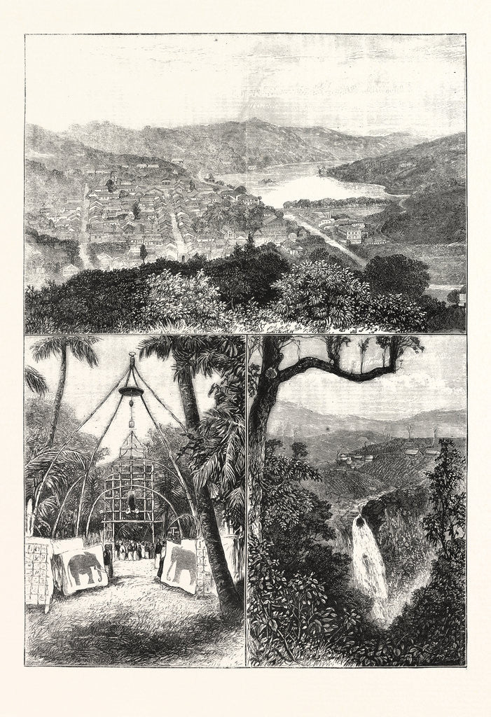 Detail of The Prince of Wales at Ceylon, 1876, Sri Lanka by Anonymous