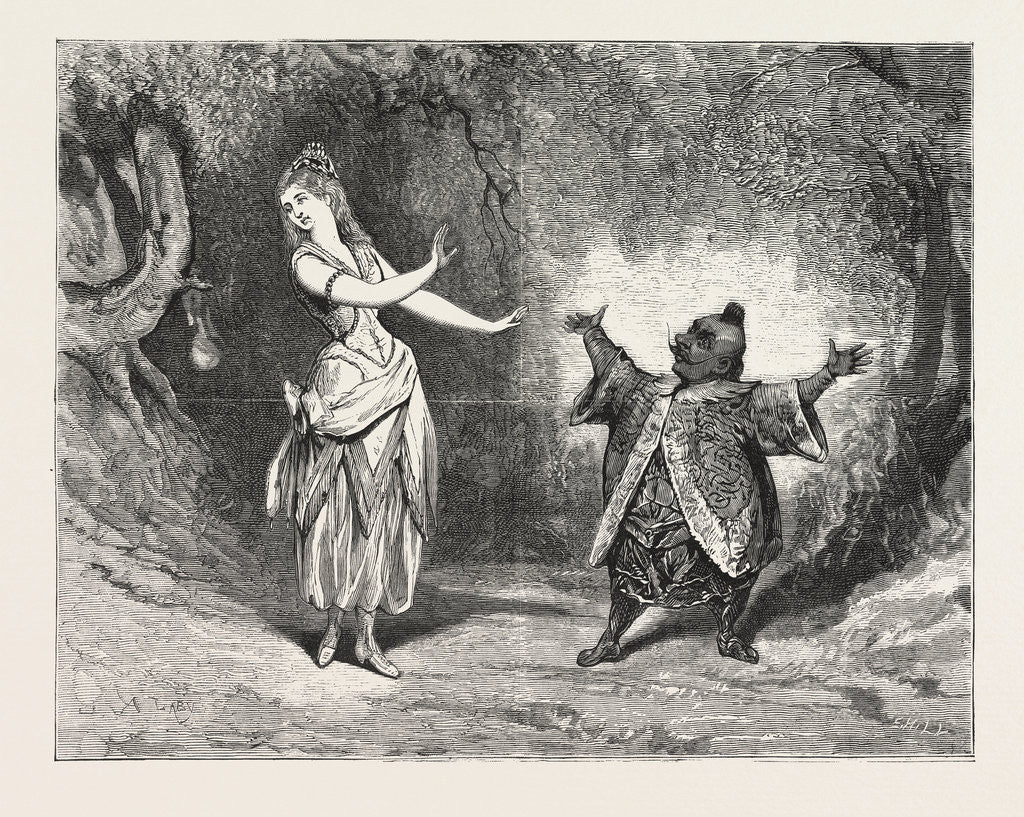Detail of The Yellow Dwarf at the Alexandra Palace, London, Theatre, 1876 by Anonymous