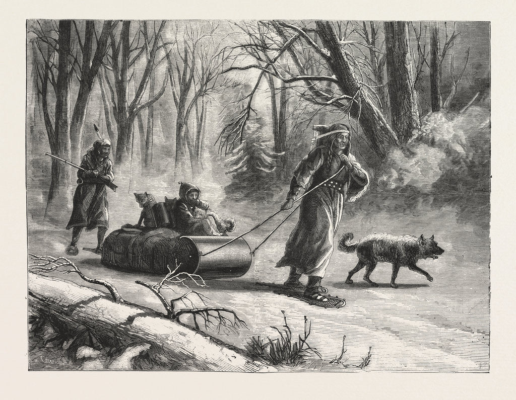 Detail of Winter in the Far West: An Indian Sledge Journey, United States by Anonymous