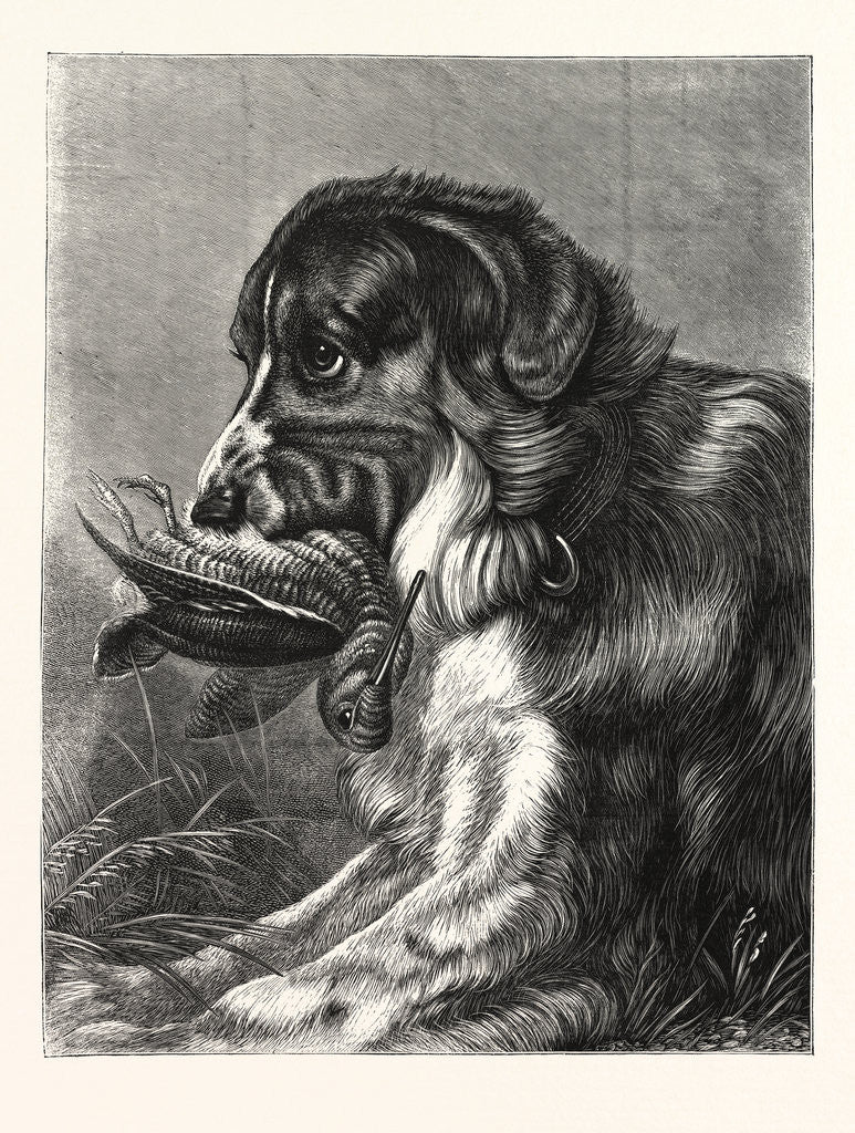 Detail of Woodcock-Shooting by Anonymous