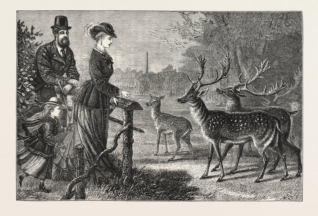 Detail of Feeding the Deer, Phoenix Park, Dublin, Ireland by Anonymous