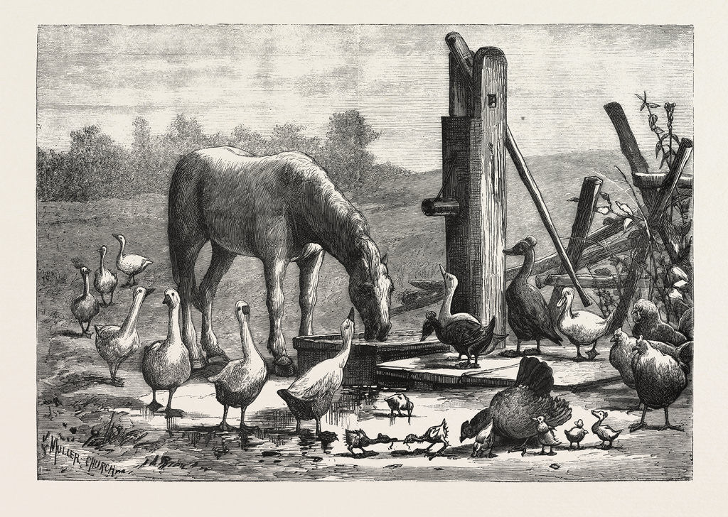 Detail of A Fashionable Watering Place. Horse, Geese, Chicken, Outdoor, Farm by Anonymous