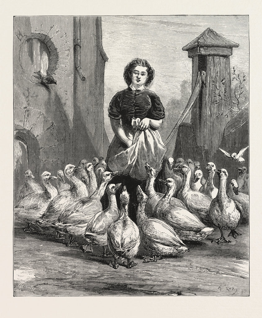 Detail of Michaelmas Geese, the Last Meal by Anonymous