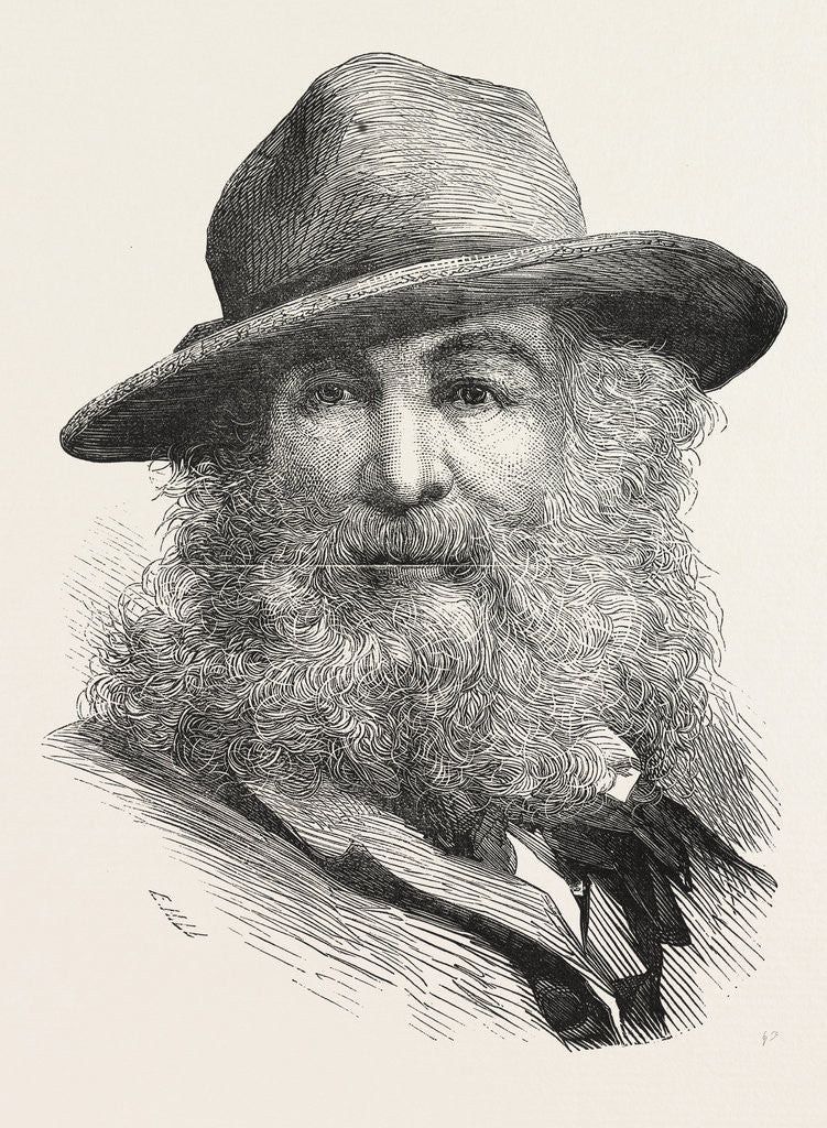Detail of Walt Whitman, May 31, 1819 – March 26, 1892, Was an American Poet, Essayist and Journalist, United States by Anonymous