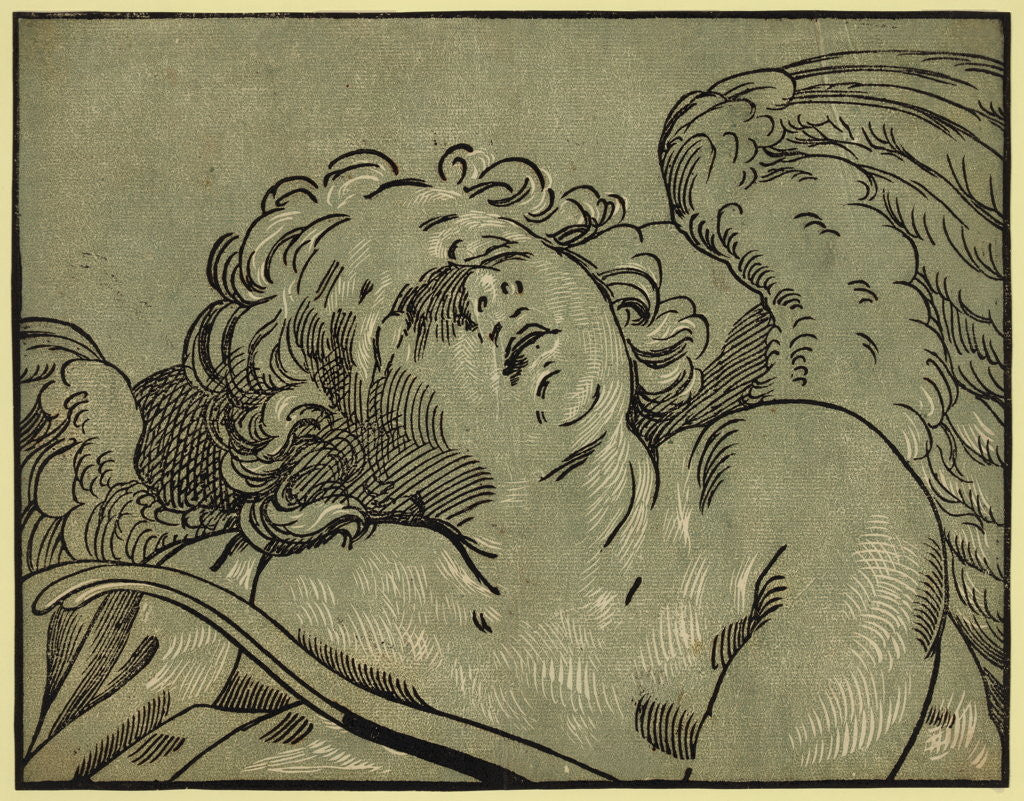 Detail of Head of Cupid, Between Ca. 1630 and 1675 by Anonymous