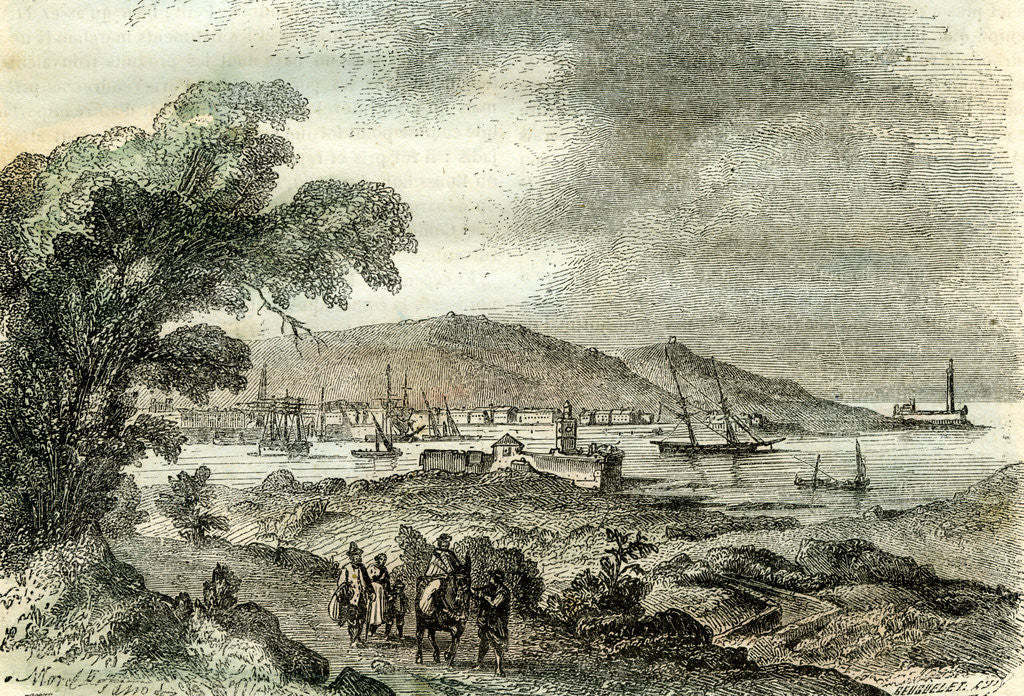 Detail of Port-Vendres 1848 France by Anonymous