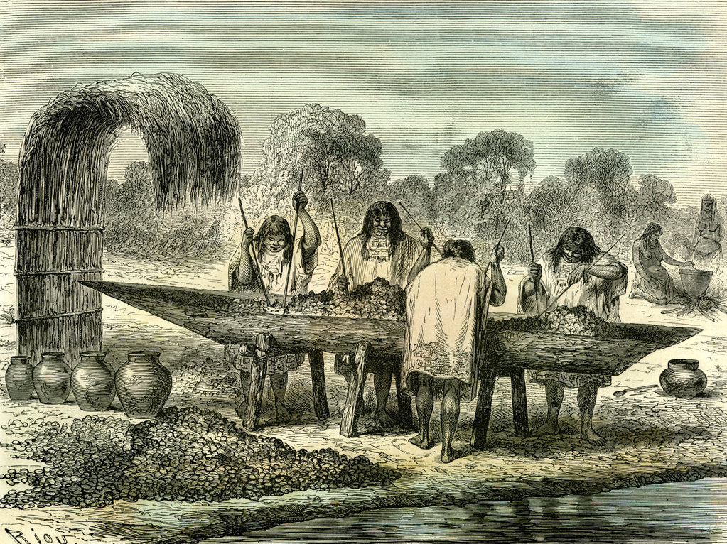 Detail of Oil Production of Turtle Eggs by Conibos 1869 Peru by Anonymous