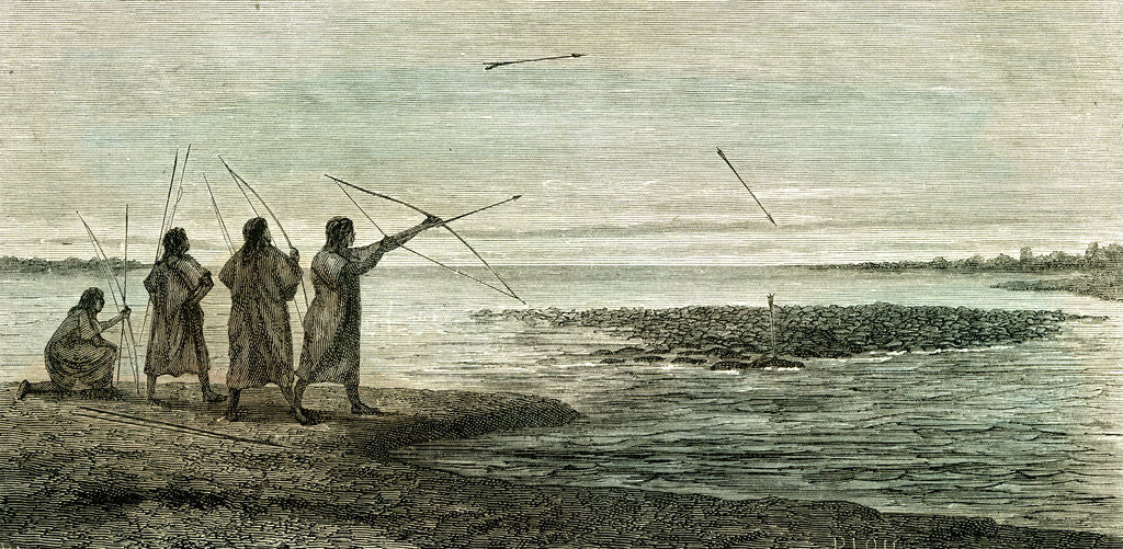 Detail of Turtles Hunt 1869 Peru by Anonymous