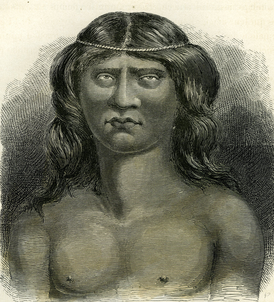 Detail of Pano Indian 1869 Peru by Anonymous