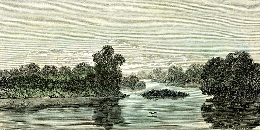 Detail of Pachitea River 1869 Peru by Anonymous