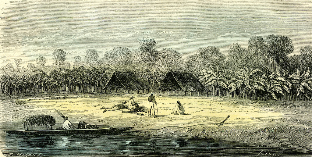 Detail of Banana Trees 1869 Peru by Anonymous