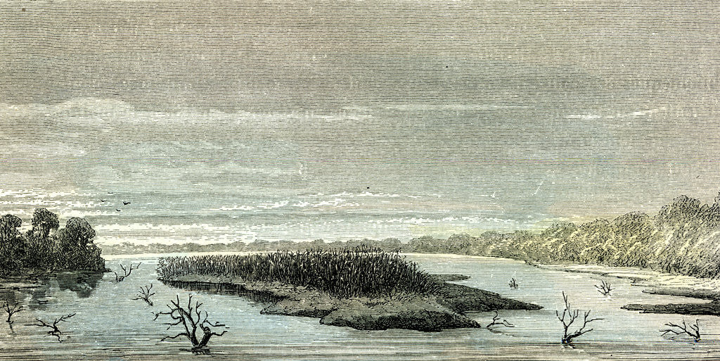 Detail of Apu-Paro River 1869 Peru by Anonymous