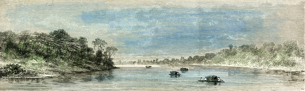 Detail of Plaines of Sacrement 1869 Peru by Anonymous