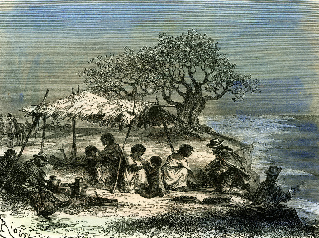 Detail of Quebrada D'Islay 1869 by Anonymous