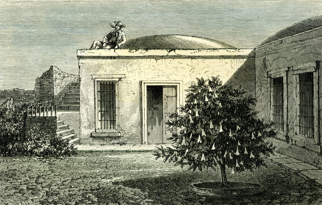 Detail of Arequipa House 1869 Peru by Anonymous