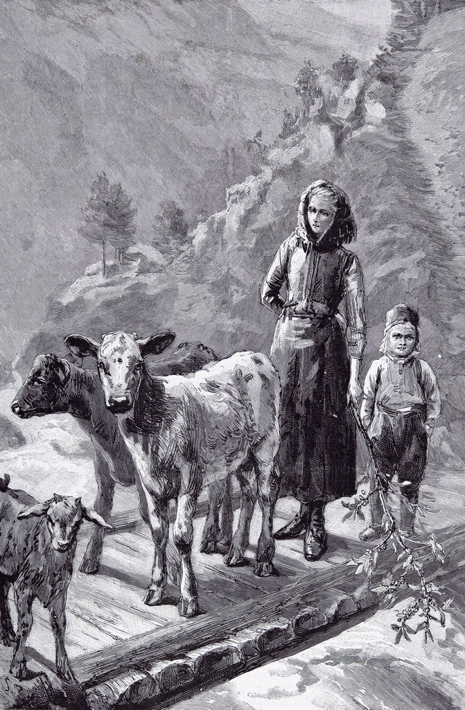 Detail of Norway the Family Cows, 1891 by Anonymous