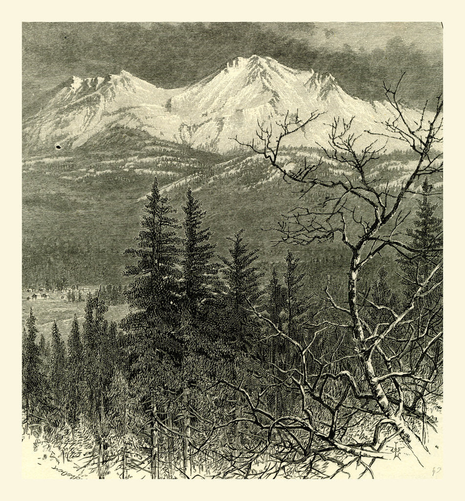 Detail of Mount Shasta, 1891 by Anonymous