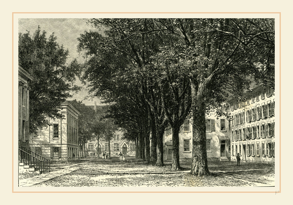 Detail of The Elms, Yale University, 1891 by Anonymous