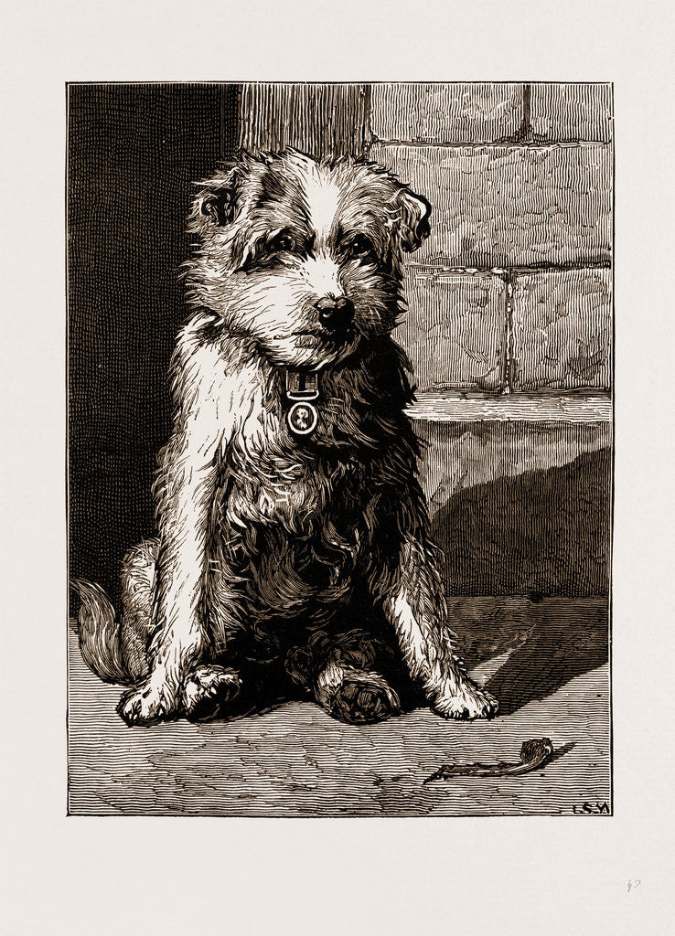 Detail of Regimental Pets: Pokeno, Dog Of The 50th Regiment by Anonymous