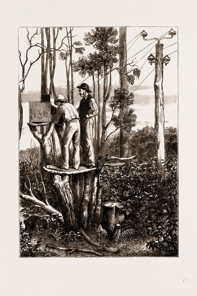 Detail of The Recent Transit Of Venus: Preparing For Work At An Australian Bush Station, 1875 by Anonymous