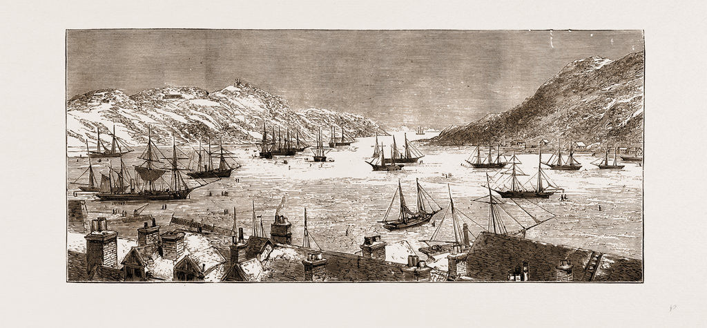 Detail of The Seal Fishing Fleet In St. John's Bay, Newfoundland by Anonymous