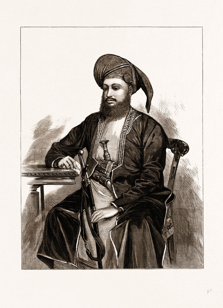 Detail of Seyyid Bargash Bin Said Sovereign Of Zanzibar, 1875 by Anonymous