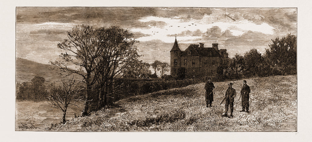 Detail of The Land Agitation In Ireland: Residence Of Mr. Bence Jones At Lisselane, Clonakilty by Anonymous