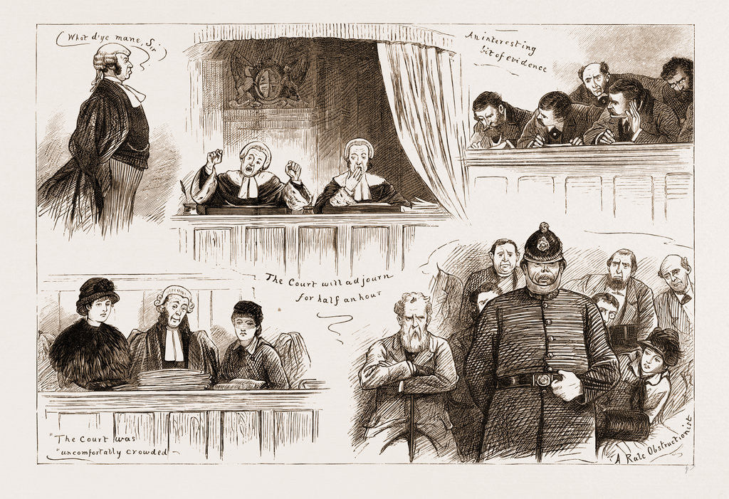 Detail of The Land Agitation In Ireland: The State Trial In Dublin, Sketches In Court by Anonymous