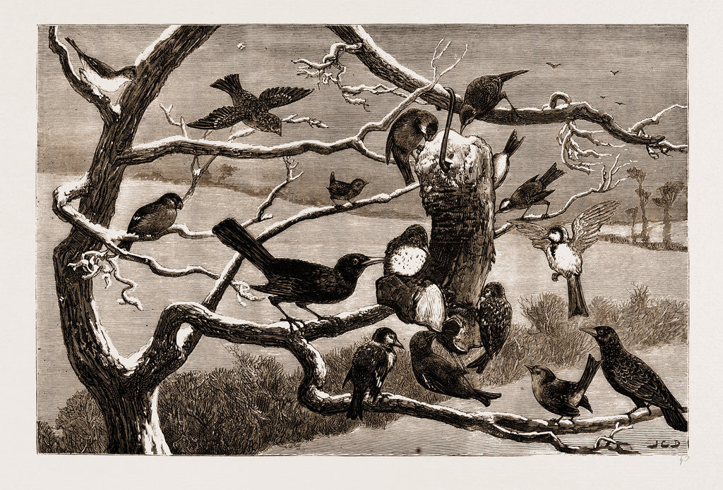 Detail of The Late Frost by Anonymous