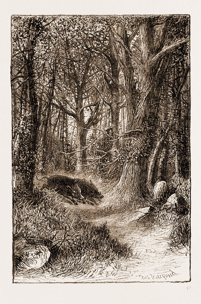 Detail of In The Ardennes by Anonymous